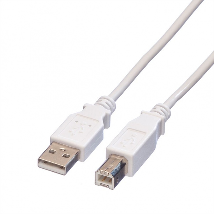 Imagine Cablu USB 2.0 tip A-B 1.8m alb, Value 11.99.8819