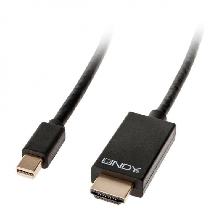 Imagine Cablu Mini Displayport la HDMI 4K activ 2m Negru, Lindy L41722