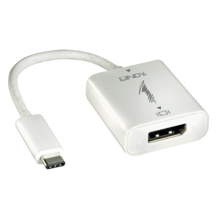 Imagine Adaptor USB 3.1 tip C la Displayport T-M, Lindy L43193