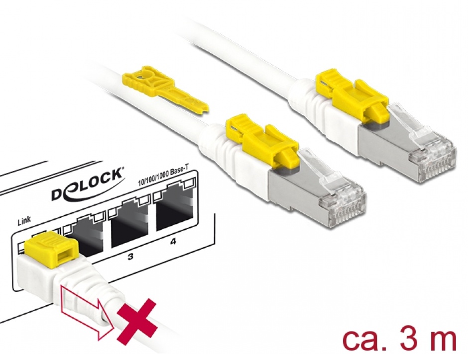 Imagine Cablu de retea RJ45 cat 6A cu sistem de blocare 3m, Delock 85333