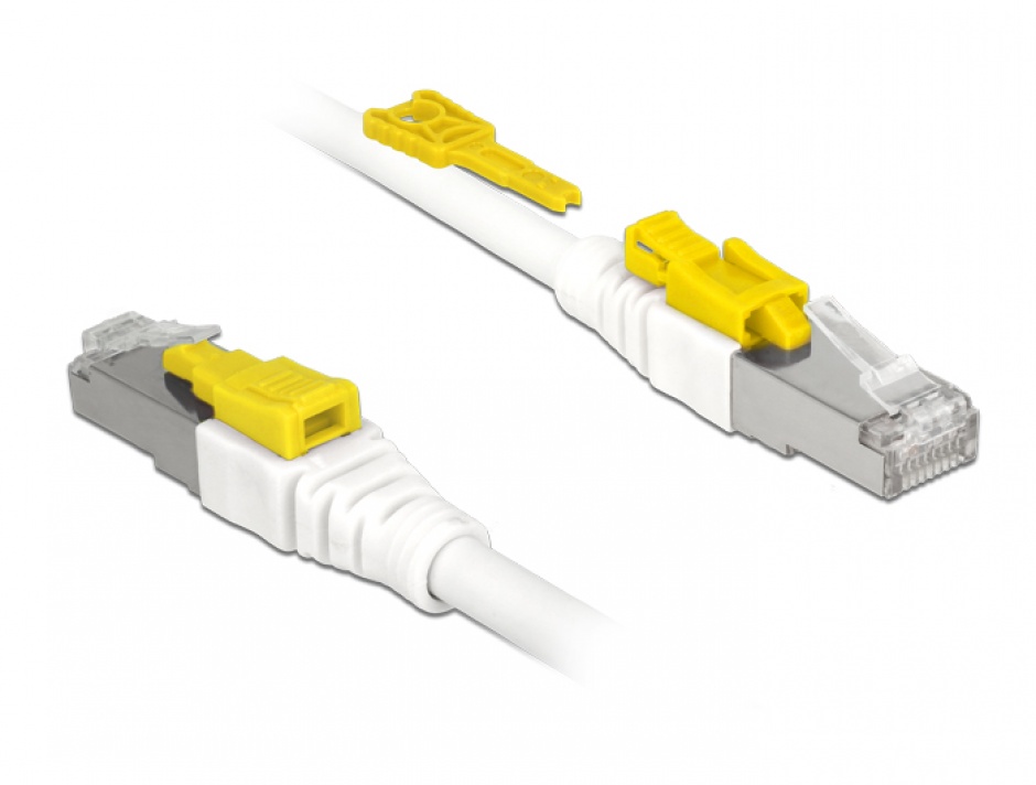 Imagine Cablu de retea RJ45 cat 6A cu sistem de blocare 5m, Delock 85335