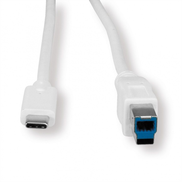 Imagine Cablu USB 3.0 Tip C la tip B 1.8m T-T Alb, Value 11.99.8880