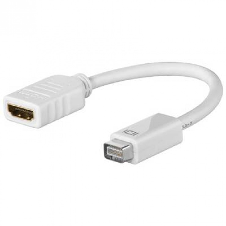 Imagine Adaptor mini DVI la HDMI T-M Alb, KPDVM-01