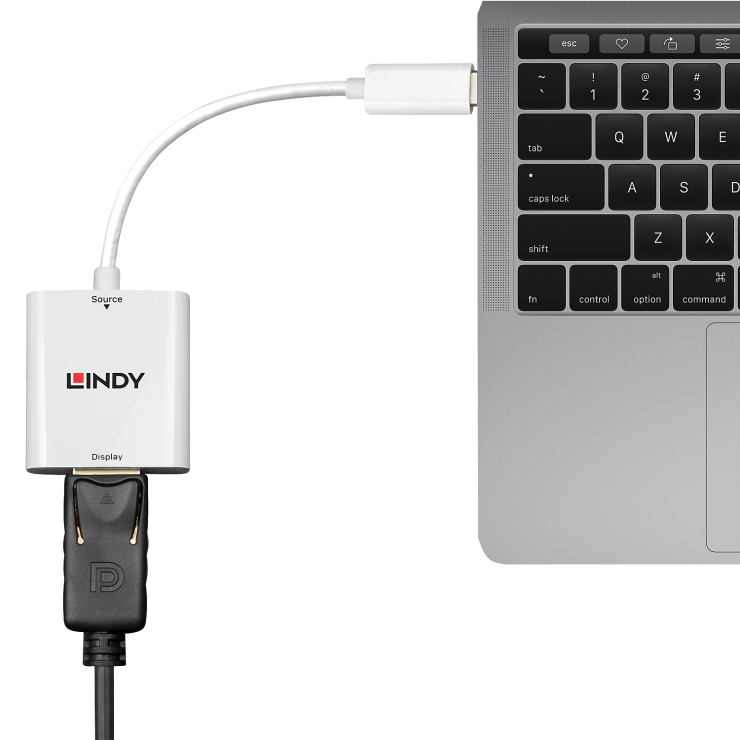 Imagine Adaptor USB 3.1-C la Displayport T-M alb, Lindy L43245-1
