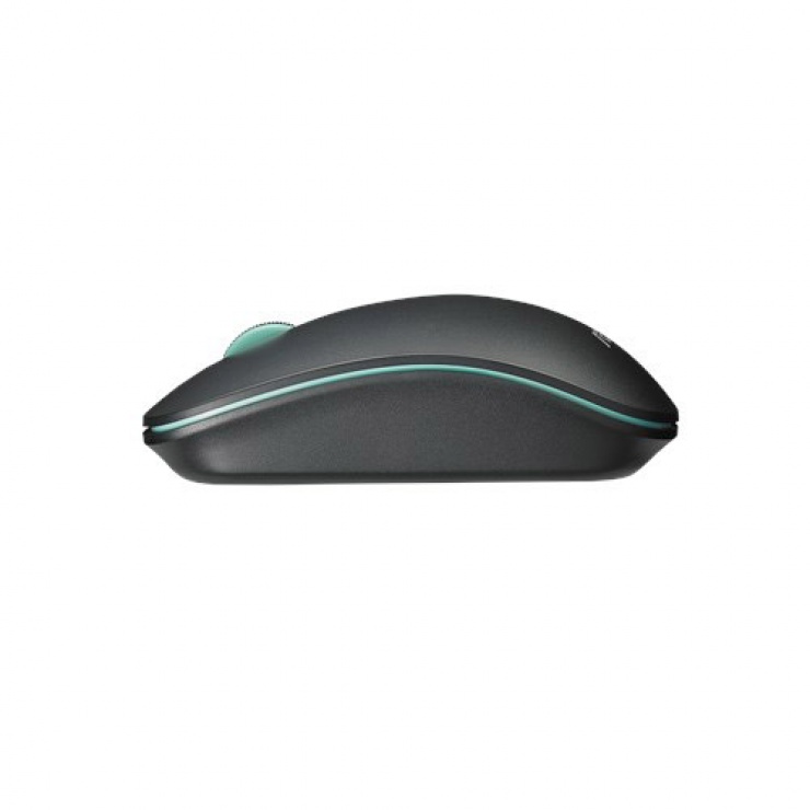 Imagine Mouse optic wireless Negru/Blue, Asus WT300-2