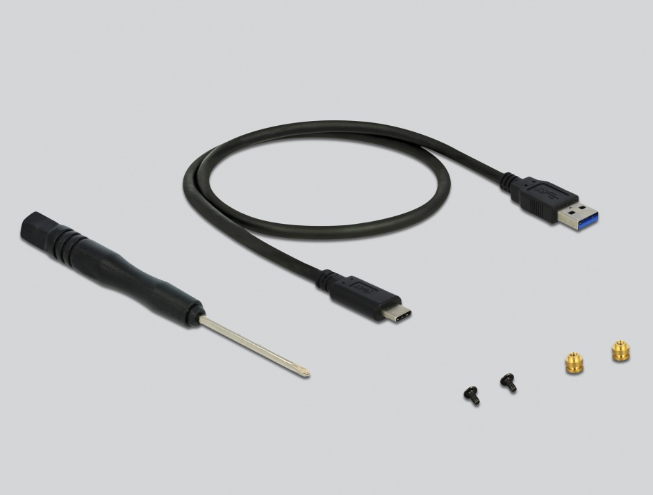 Imagine Rack extern M.2 SSD key B 80 mm la USB 3.1 tip C, Delock 42574