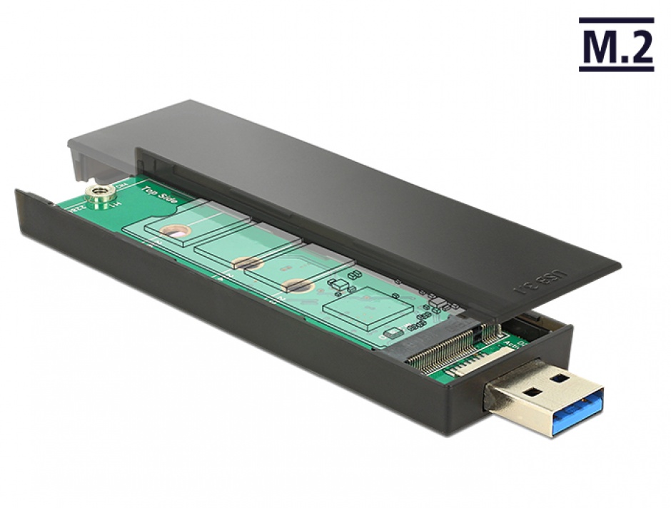Imagine Rack extern pentru SSD M.2 Key B 80 mm la USB 3.1, Delock 42593