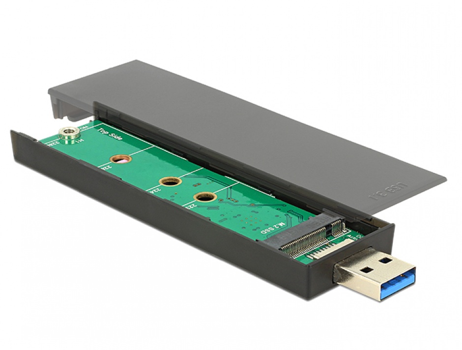 Imagine Rack extern pentru SSD M.2 Key B 80 mm la USB 3.1, Delock 42593