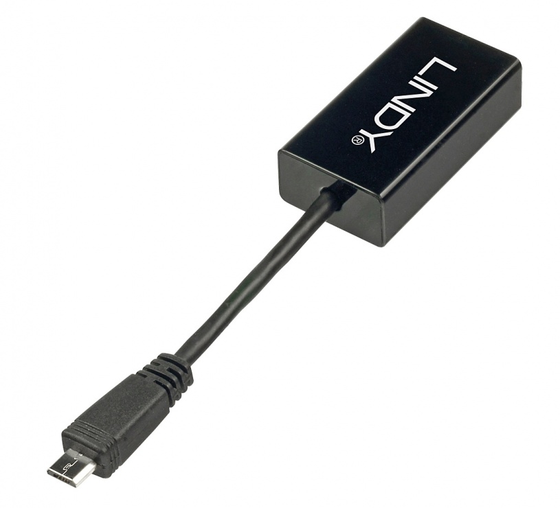 Imagine Adaptor micro USB 2.0 la Ethernet, Lindy L42948