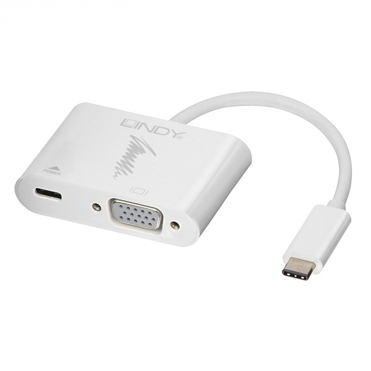 Imagine Adaptor USB 3.1 tip C la VGA + alimentare 15cm, Lindy L43194