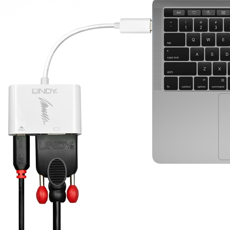 Imagine Adaptor USB 3.1 tip C la VGA + alimentare 15cm, Lindy L43194