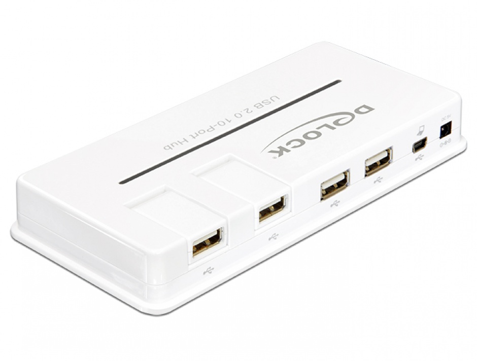 Imagine Hub USB 2.0 10 porturi, Delock 61857