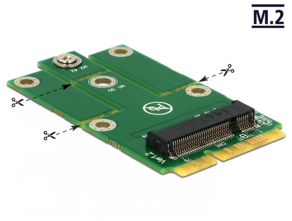 Imagine Adaptor mini PCIe la M.2 NGFF key B, Delock 62654