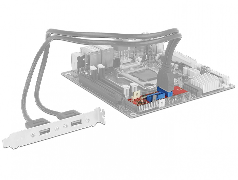 Imagine Adaptor M.2 Key B+M la 2 x USB 3.0 Pin Header, Delock 62843