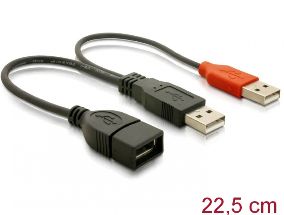 Imagine Cablu USB 2.0 in Y date + alimentare 22cm, Delock 65306