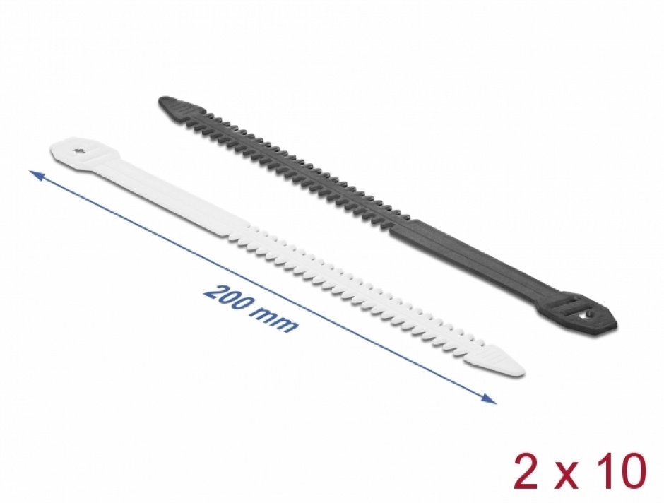 Imagine Set 20 buc bride reutilizabile 200 x 10 mm Transparent + Negru, Delock 19339