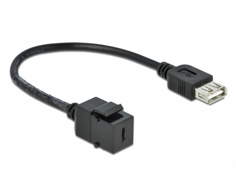 Imagine Modul keystone USB 2.0-C la USB-A M-M, Delock 86384