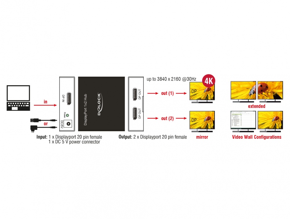 Imagine Multiplicator 2 porturi Displayport 4K, Delock 87691