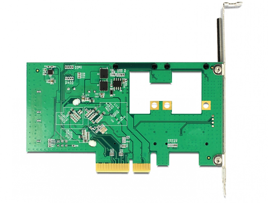 Imagine PCI Express cu 2x SATA 6 Gb/s Hybrid + 2x mSATA, Delock 89372