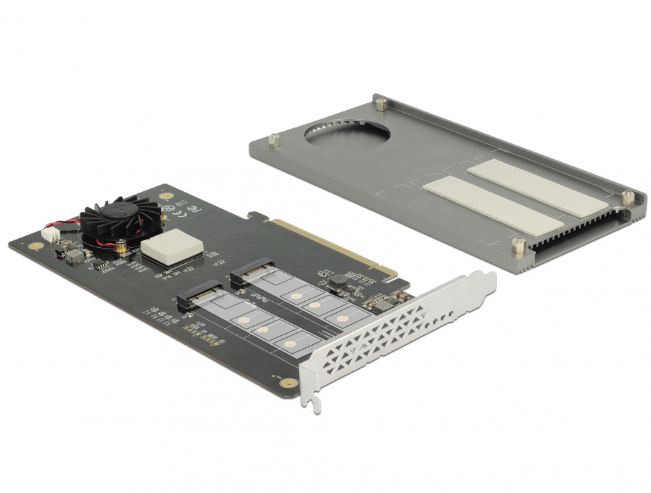 Imagine PCI Express cu 2 porturi interne NVMe M.2 Key M, Delock 89961