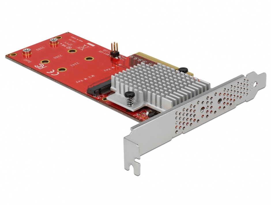 Imagine PCI Express cu 2 porturi interne NVMe M.2 Key M LPFF, Delock 90305