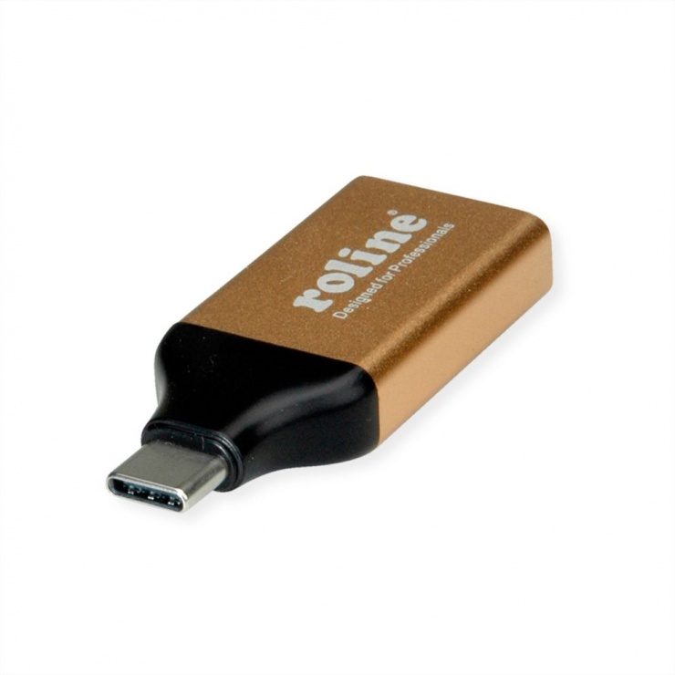 Imagine Adaptor GOLD USB-C la Displayport 1.2 T-M, Roline 12.03.3232