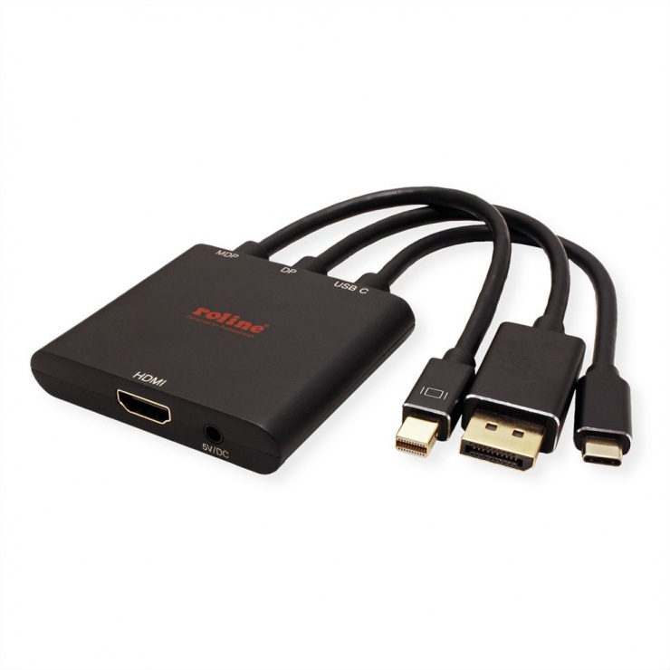 Imagine Adaptor Mini DisplayPort / DisplayPort / USB-C la HDMI T-M activ 0.15m, Roline 12.03.3139