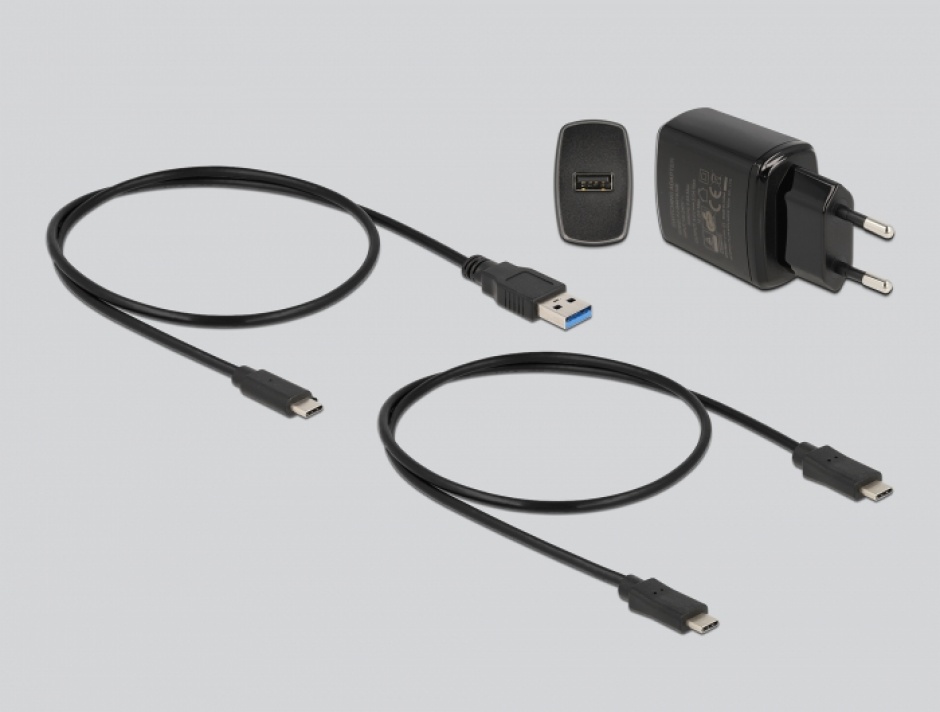 Imagine Docking station USB 3.2-C Gen 2 pentru 2 x M.2 NVMe PCIe SSD cu functie de clona, Delock 63329
