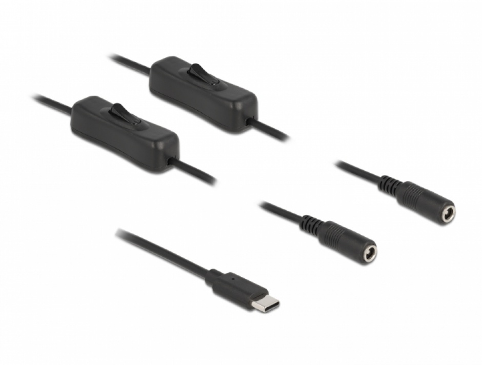 Imagine Cablu USB Type-C la 2 x DC 5.5 x 2.1 mm cu switch T-M 1m, Delock 86800