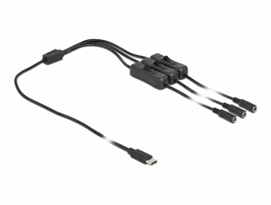 Imagine Cablu USB Type-C la 3 x DC 5.5 x 2.1 mm cu switch T-M 1m, Delock 86801