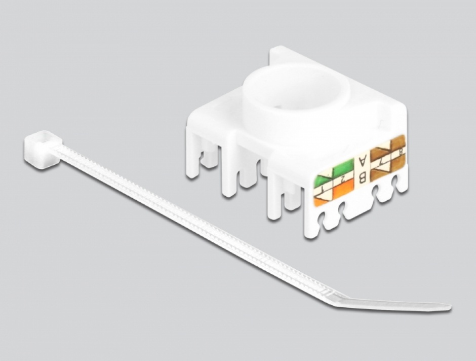 Imagine Modul keystone RJ45 la LSA UTP Cat.6A toolfree 180 grade, Delock 87034