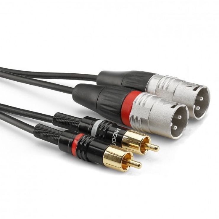 Imagine Cablu audio 2 x XLR 3 pini la 2 x RCA T-T 0.6m, HBP-M2C2-0060