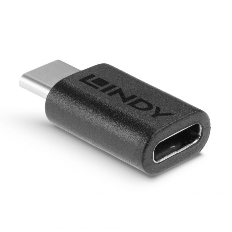 Imagine Adaptor USB 3.2 Gen 2x2 Type C T-M, Lindy L41893