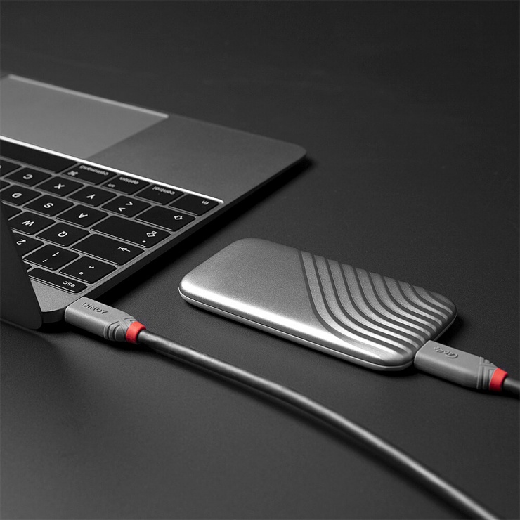 Imagine Cablu USB 4 Gen3x2 Type C la type C Anthra Line T-T 0.8m, Lindy L36947