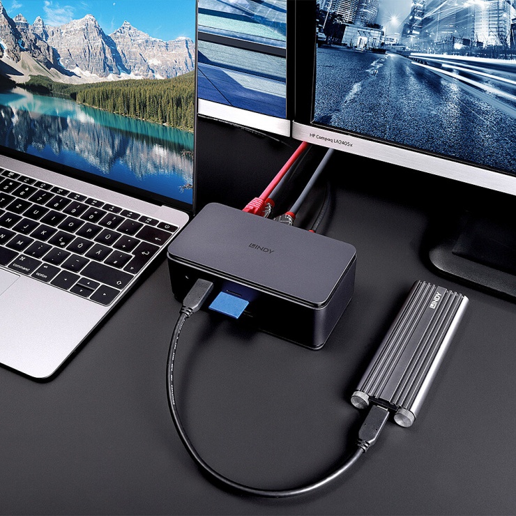 Imagine Docking station USB Type C la DisplayPort/HDMI/6xUSB-A, Lindy L43372