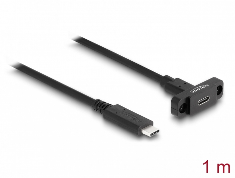 Imagine Cablu prelungitor USB 3.2 Gen2 type C T-M 1m montare panou, Delock 87824