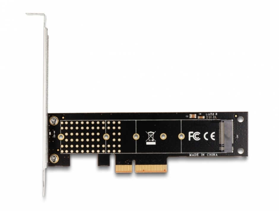 Imagine PCI Express la NVMe M.2 Key M LPFF, Delock 89836