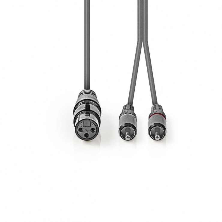 Imagine Cablu audio XLR 3 pini la 2 x RCA M-T 3m, Nedis COTH15220GY30