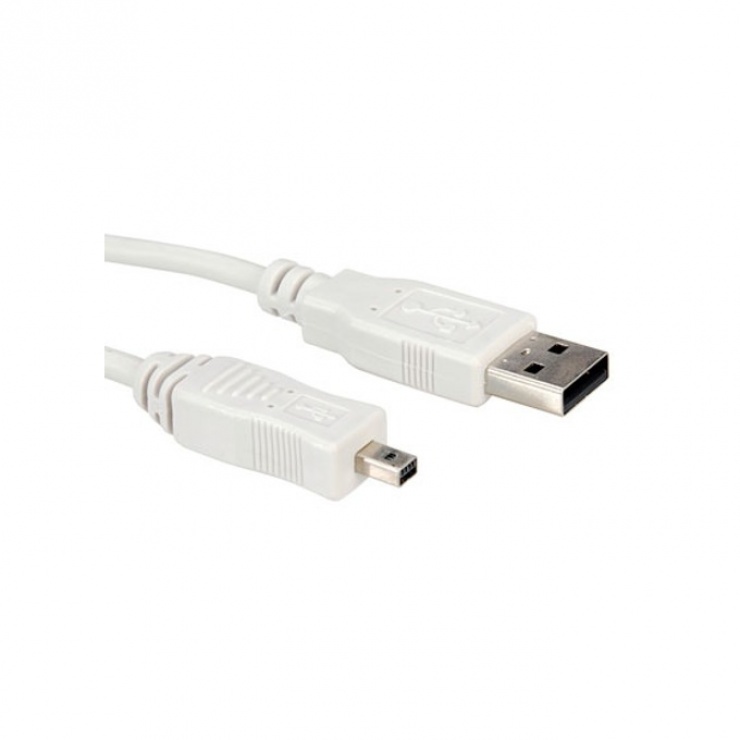 Imagine Cablu USB 2.0-A - la mini USB Fuji 1.8m Alb, Roline 11.02.8418