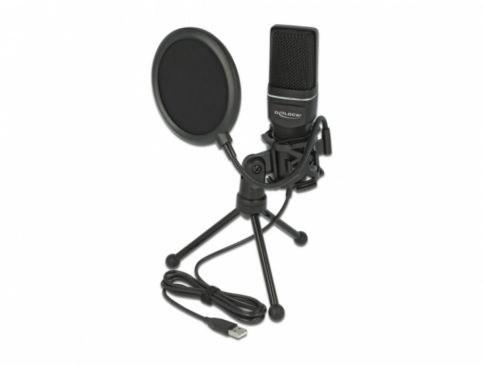 Imagine USB Condenser Microphone Set - for Podcasting, Gaming and Vocals, Delock 66331