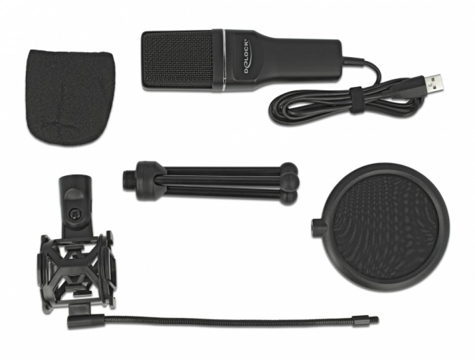 Imagine USB Condenser Microphone Set - for Podcasting, Gaming and Vocals, Delock 66331