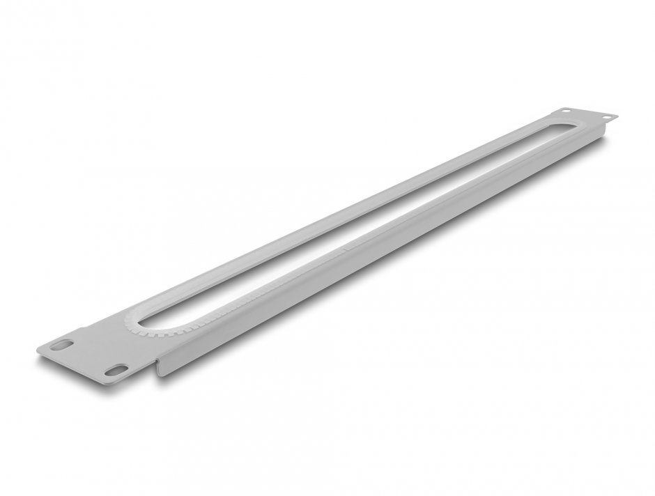 Imagine Panou 19" 1U cu protectie la margine Gri, Delock 67276