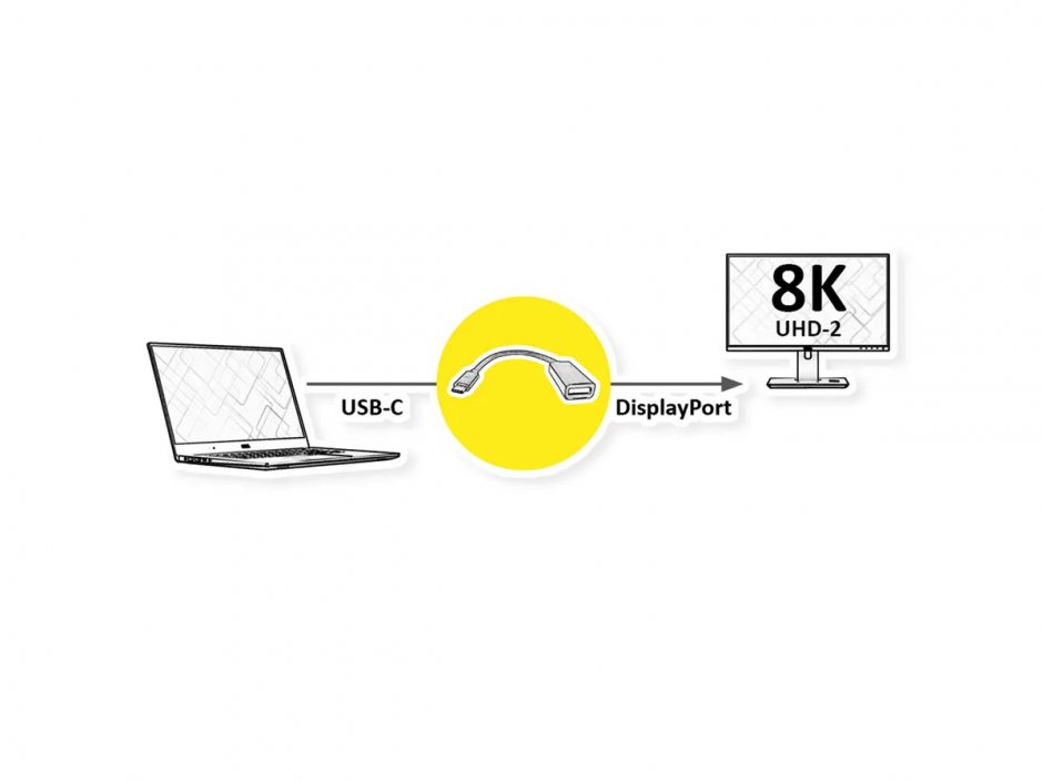 Imagine Adaptor USB type C la Displayport T-M 8K60Hz, Roline 12.03.3235