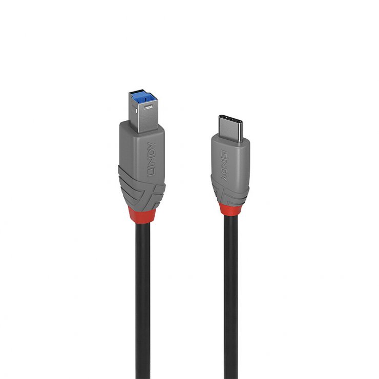 Imagine Cablu USB 3.2 Type C la USB-B Anthra Line 0.5m, Lindy L36665