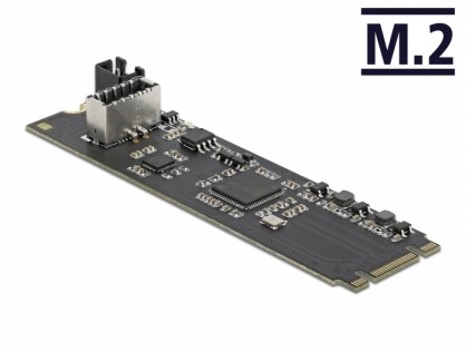 Convertor M.2 Key B+M cu un port intern USB 3.2 Gen 2 key A 20 pini T-M, Delock 63330