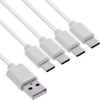 Cablu de alimentare USB-A la 4 x USB type C T-T 2m Alb, InLine IL35142W