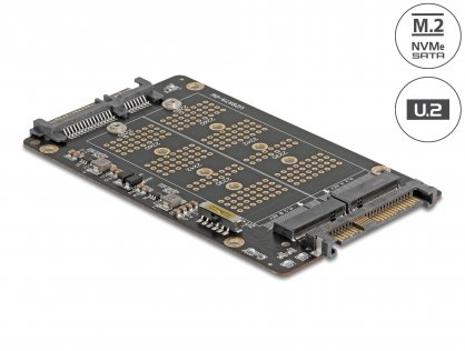 Convertor M.2 Key M NVMe SSD la U.2 si M.2 Key B SATA SSD la SATA, Delock 64354