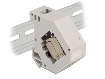 Adaptor pentru sina DIN cu modul Keystone RJ45 Cat.6A LSA, Delock 86014