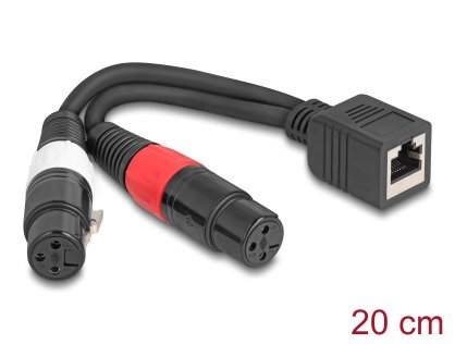 Adaptor RJ45 la 2 x XLR 3 pini M-M 0.2m, Delock 88178