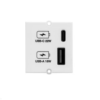 Custom Modul USB-A + USB type C 22W, Bachmann 917.2271